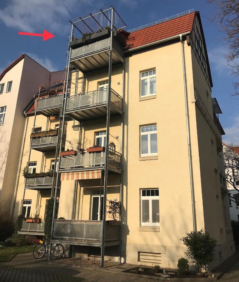 Stadtpark-Oase Erfurt Exteriör bild